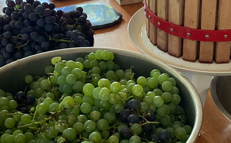 Welcome to Trollhaugen Farm in Newfane, Vermont