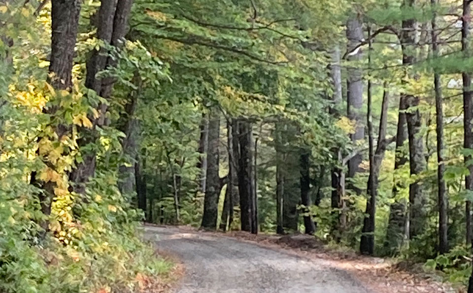 Welcome to Trollhaugen Farm in Newfane, Vermont