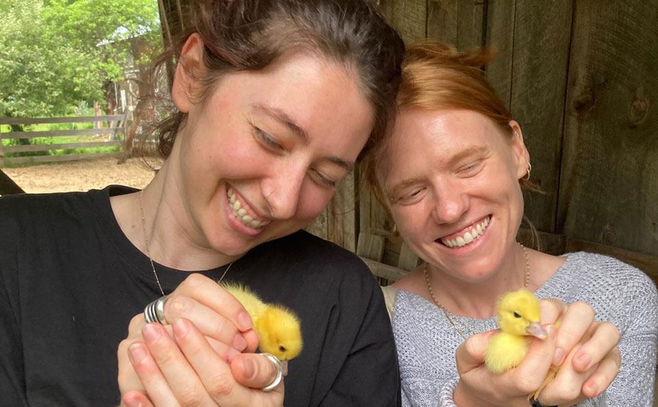 Welcome to Trollhaugen Farm in Newfane, Vermont