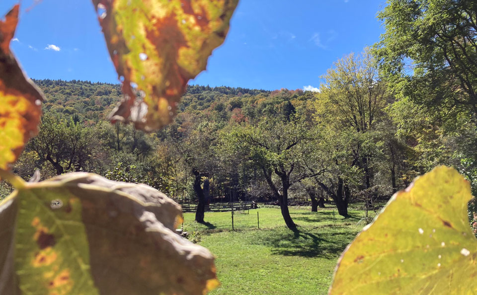Welcome to Trollhaugen Farm in Newfane, Vermont
