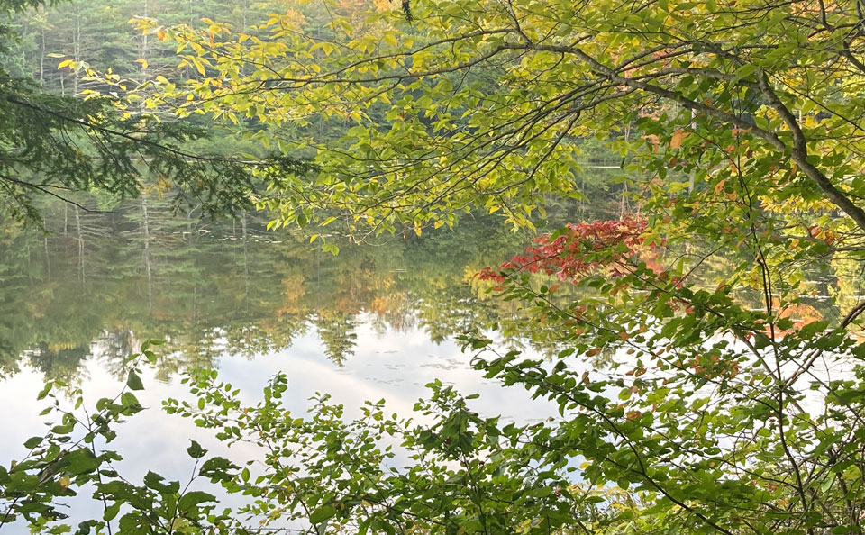 Welcome to Trollhaugen Farm in Newfane, Vermont