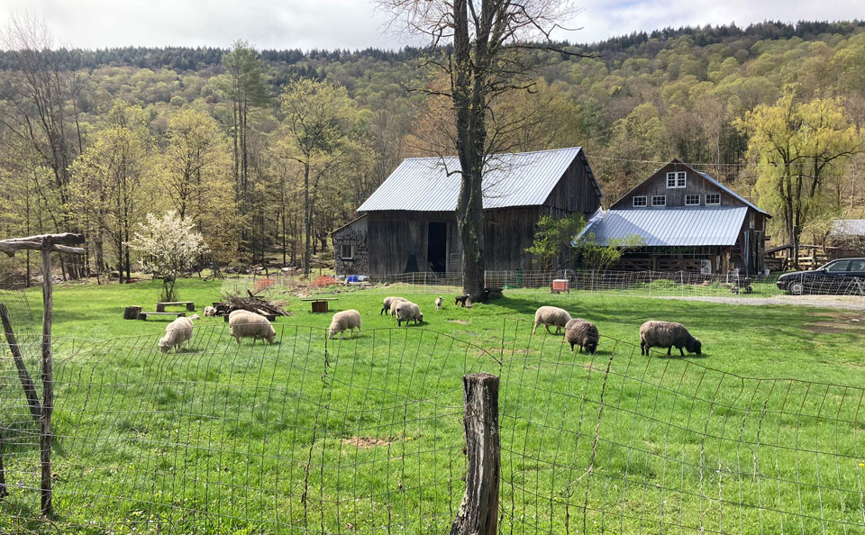 Welcome to Trollhaugen Farm in Newfane, Vermont